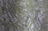 Ingleby Greenhow fibreglass roof work